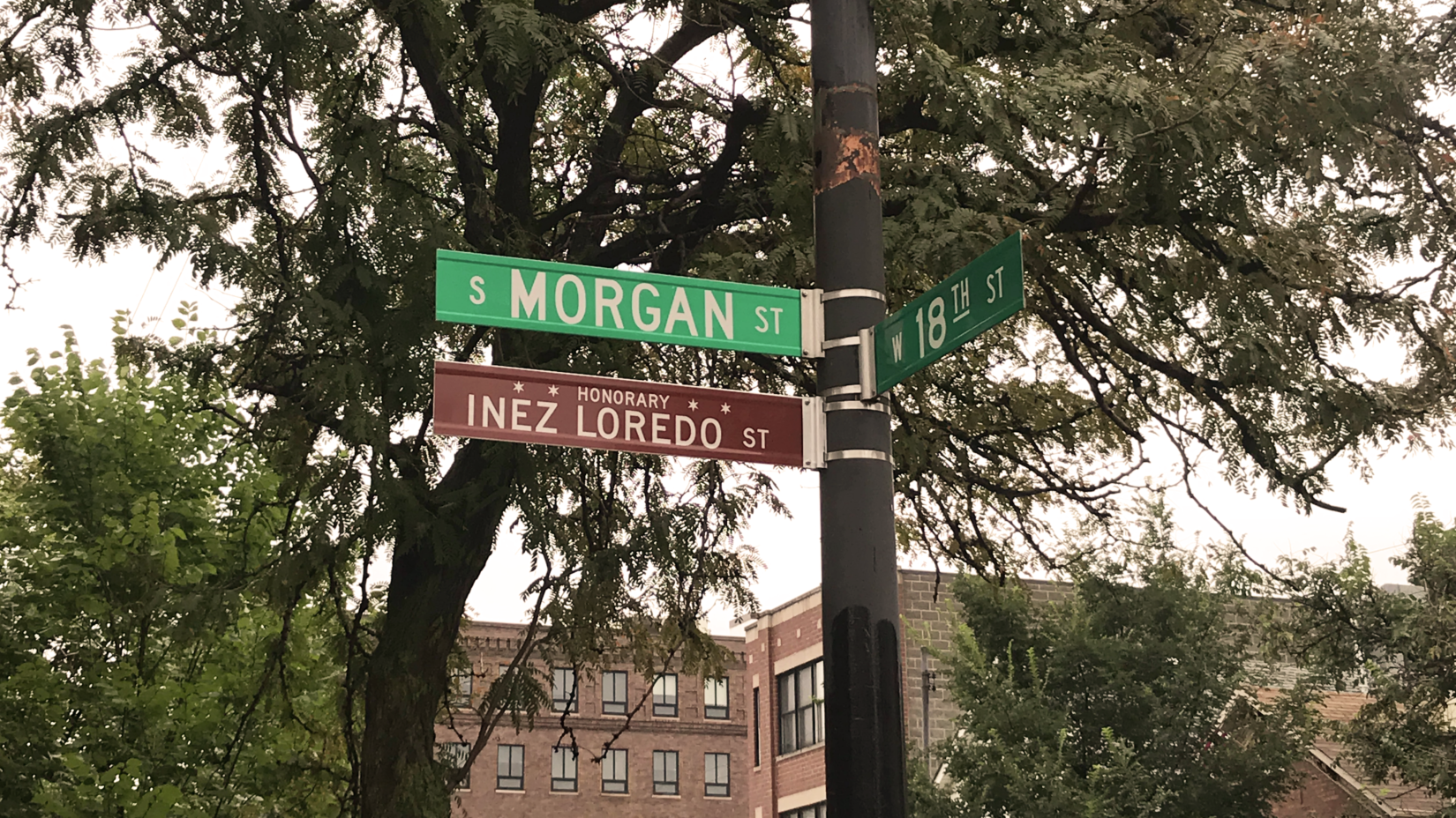 Honorary Street Naming – Inez Loredo
